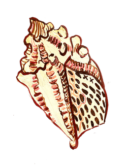Shell