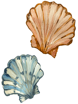 Shells